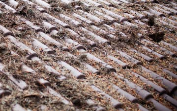 High Roding roof cleaning companies